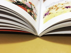 成都百鉑文化 專業(yè)打造家具家居產(chǎn)品宣傳畫冊，賦能品牌形象
