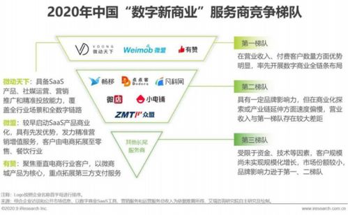 2020年中國(guó)數(shù)字新商業(yè)發(fā)展洞察報(bào)告 微動(dòng)天下入選頭部服務(wù)商，引領(lǐng)數(shù)字技術(shù)服務(wù)浪潮